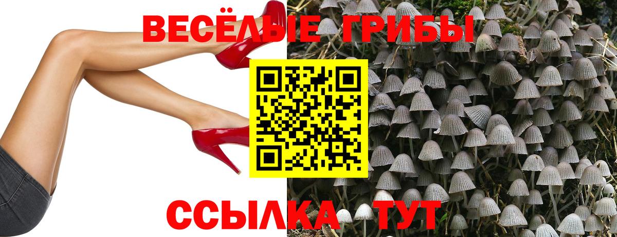 Псилоцибиновые грибы MAGIC MUSHROOMS  Вход с VPN  продажа наркотиков  Псилоцибиновые грибы ЛСД  Воскресенск 