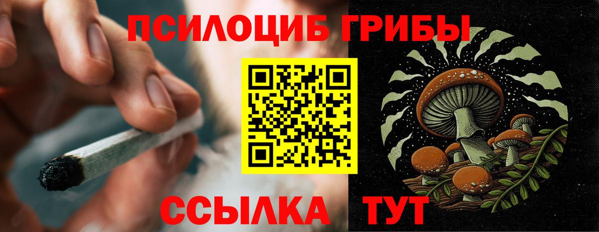 Галлюциногенные грибы Magic Shrooms Воскресенск